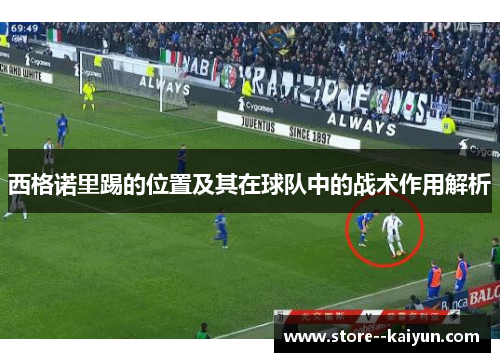 西格诺里踢的位置及其在球队中的战术作用解析