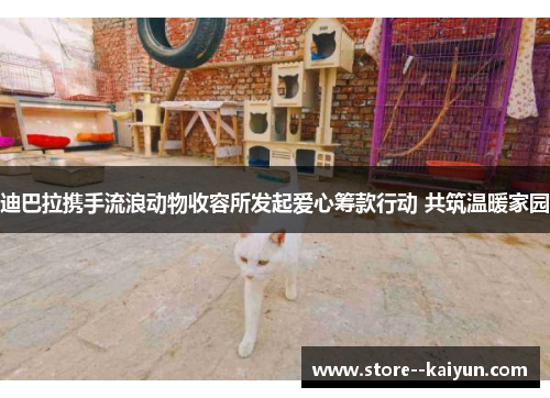 迪巴拉携手流浪动物收容所发起爱心筹款行动 共筑温暖家园